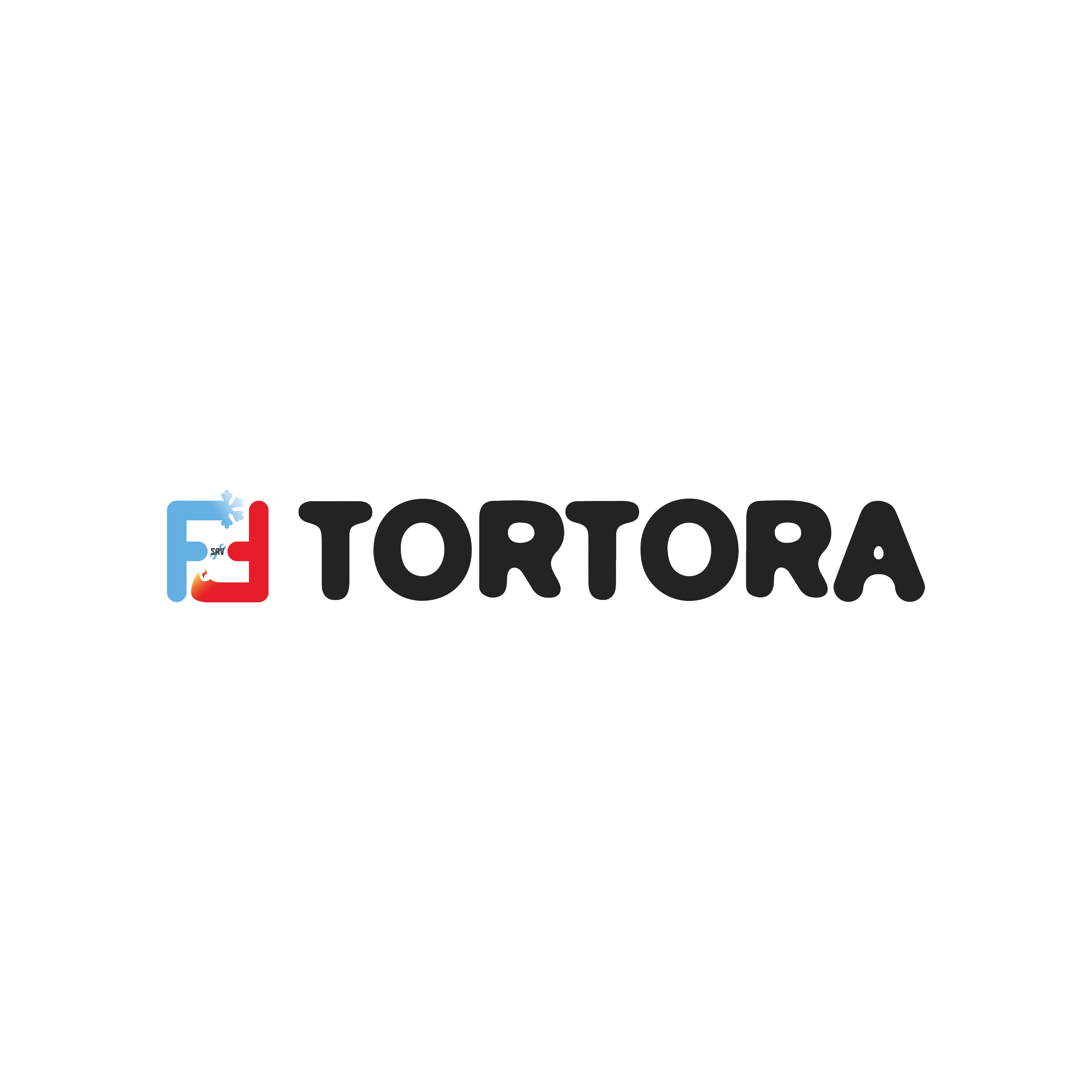 TORTORA